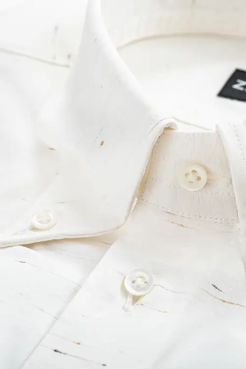 Koszula button down Piksel bawełniana - Zack Roman